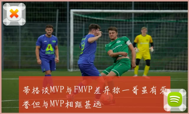 蒂格谈MVP与FMVP差异称一哥虽有荣誉但与MVP相距甚远