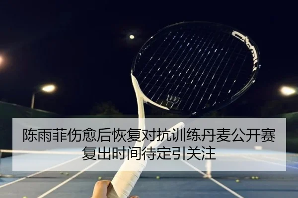 陈雨菲伤愈后恢复对抗训练丹麦公开赛复出时间待定引关注